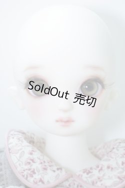 画像8: SDM女の子/コーディネートモデルF-60 U-24-08-20-215-NY-ZU