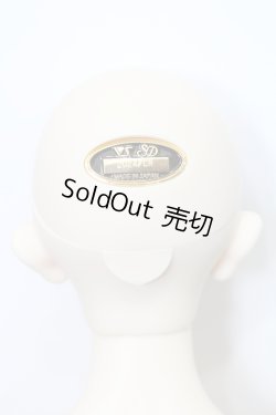 画像5: SD17男の子/レイズナー〜The Shadow of Captain II〜 S-24-12-15-070-GN-ZS