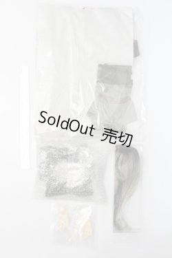 画像9: SD17男の子/レイズナー〜The Shadow of Captain II〜 S-24-12-15-070-GN-ZS