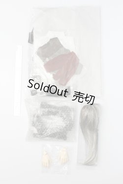 画像8: SD17男の子/レイズナー〜The Shadow of Captain II〜 S-24-12-15-070-GN-ZS