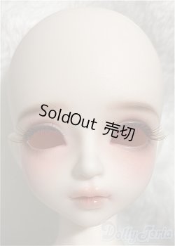 画像4: 【DOLK×MYOU DOLL】Zuzana - Literature Limited/BJD 球体関節人形 A-25-02-05-194-KD-ZA