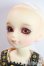画像3: 幼SD/たんぽぽ U-25-06-10-211-NY-ZU (3)
