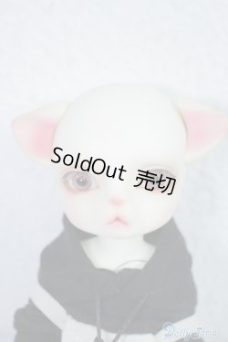 画像2: LUTS/ZUZU delf/LIO The PirAte Limited A-24-07-31-1133-TN-ZU