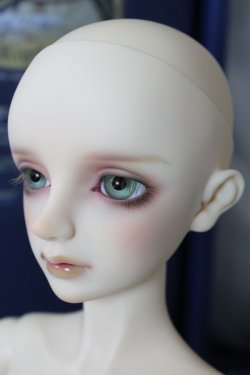 画像3: SDBOY/リゲル 星間学寮ver. U-24-02-21-213-TN-ZU