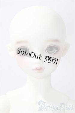 画像2: SDGIRL/リーゼロッテ　BEST　of the bests U-26-01-04-217-TO-ZU