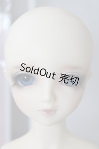 ＳＤＧＩＲＬ/シャルロッテ U-24-02-21-215-TN-ZU