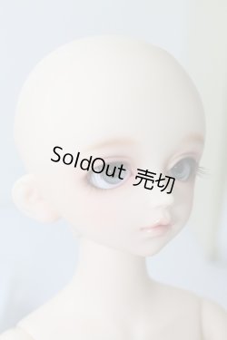 画像4: SDMIDI/トッピ U-23-10-25-095-TN-ZU