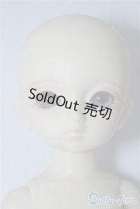 幼天使/八代　1ｓｔ U-24-07-23-218-KN-ZU