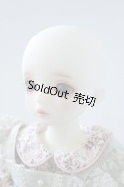 画像3: SDMGIRL/コーディネートF-56里限定 U-23-11-8-208-KN-ZU