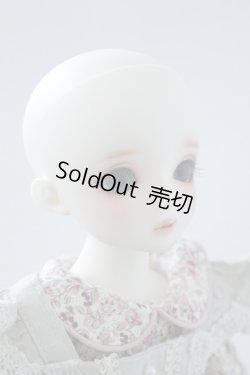 画像4: SDMGIRL/コーディネートF-56里限定 U-23-11-8-208-KN-ZU