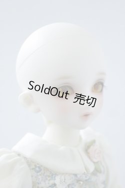 画像4: ＳＤＭＧＩＲＬ/コーディネートモデルＦ-33 U-23-11-8-209-KN-ZU