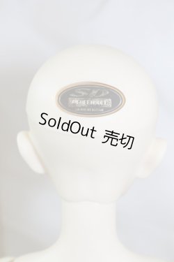 画像7: SD13B/F-35ワンオフmayura様 U-23-11-15-214-TN-ZU