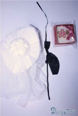 画像1: MSD&SDM/OF：小物セット U-24-11-05-031-TN-ZU