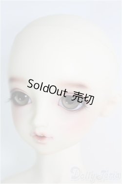 画像4: SD/リーゼロッテ he Best of the BESTs ver I-24-08-25-1001-TO-ZI