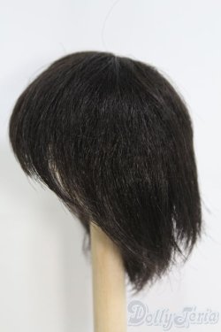 画像2: 7〜8inch/ウィッグ I-25-04-20-3015-TO-ZI