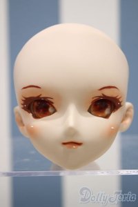 【新宿マルイアネックス店 店頭販売商品】DD/カスタムメイクヘッド（DDH-05）　2100000000520709-ZM