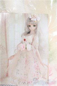 DD/OF Light Cantarella：CODENOIR製 I-25-03-16-2065-TO-ZI