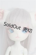 DOLL ZONE/Mini Kitty (New Year 2019) I-24-09-01-1010-TO-ZI