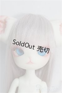 DOLL ZONE/Mini Kitty (New Year 2019) I-24-09-01-1010-TO-ZI