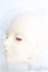 画像2: 【SALE】SWITCH/MARAヘッド I-24-10-06-1089-TO-ZI (2)