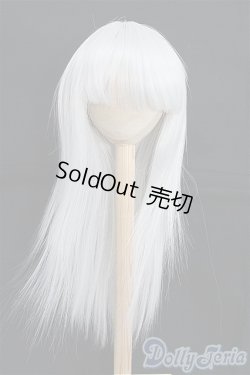 画像1: 9-10inch/ウィッグ I-25-02-16-2023-TO-ZI