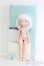 画像5: 【SALE】DOLLZONE/?奈 I-24-10-06-1011-TO-ZI