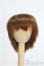 画像1: 【SALE】ウィッグ/7-8inch I-24-12-22-3033-TN-ZI (1)