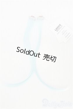 画像1: 【SALE】SD/バンス I-25-01-19-2041-TO-ZI