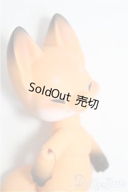 画像3: 【SALE】COCORIANG/Niya　orange skin I-25-01-26-1004-TO-ZI