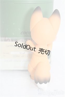 画像5: 【SALE】COCORIANG/Niya　orange skin I-25-01-26-1004-TO-ZI