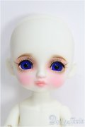 【SALE】Nine9Style/Petit Pio I-24-09-01-1070-TO-ZI