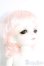 画像3: 【SALE】Charm Doll/pansy I-24-09-22-1007-TO-ZI