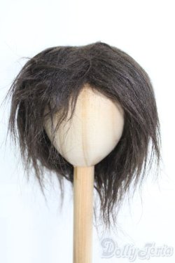 画像1: 9〜10inchボアウィッグ2点セット/インチ　BJD　MJD　ドール用 I-25-07-06-2031-TN-ZI