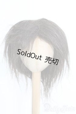 画像1: 9〜10inchボアウィッグ2点セット/インチ　BJD　MJD　ドール用 I-25-07-06-2031-TN-ZI