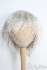 8〜9inch/ウィッグ I-25-02-02-2026-GN-ZI