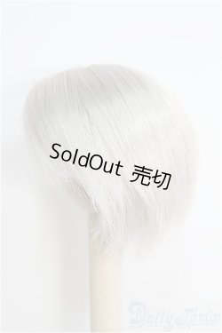 画像2: 8inchウィッグ I-25-01-26-2039-TN-ZI