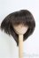 画像1: 9〜10inch/ウィッグ I-25-02-16-2021-TO-ZI (1)