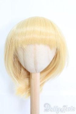 画像1: 9〜10inch/bluekangarooo様製：ウィッグ I-25-06-01-2040-TO-ZI
