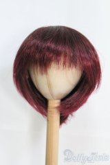 9〜10inch/ウィッグ I-25-05-04-2028-TO-ZI