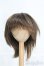 画像1: 9〜10inch/ウィッグ I-25-03-30-2029-TO-ZI (1)