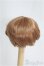 画像2: 6〜7inch/ウィッグ：KEMPER製 I-25-04-06-3011-TO-ZI (2)