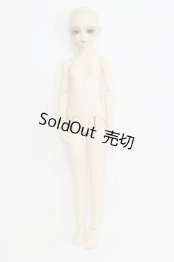 画像5: SD13/SD13GIRLより+SDGIRLボディ I-23-12-10-054-TO-ZI