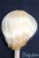 画像2: 【SALE】8〜9inch/ウィッグ I-24-12-29-2049-TO-ZI (2)