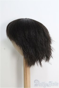 画像2: ウィッグ/9-10inch I-25-01-05-3052-TO-ZI