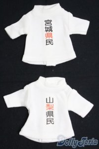 幼SD/OF 県民Ｔシャツ2点セット I-25-06-01-3076-TO-ZI