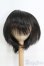 画像1: 9〜10inch/ウィッグ I-25-06-08-3028-TO-ZI (1)