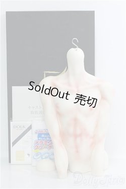 画像1: 【SALE】Miracle doll/Sariel Torso I-24-09-01-1011-TO-ZI