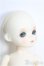 画像3: 【SALE】BLUE FAIRY/Sage Choco I-24-10-13-1009-TO-ZI (3)