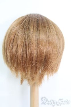 画像3: 9〜10inch/ウィッグ I-25-05-18-2043-TO-ZI