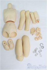 MSD/男の子ボディ/BJD　球体関節人形 I-25-08-10-019-TN-ZI